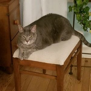 Meet your Posher, Anne